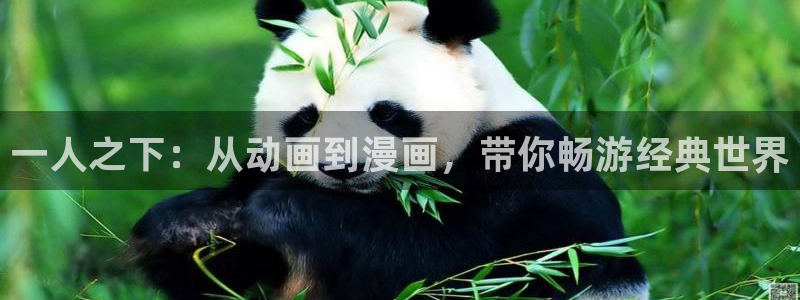 another动漫歪歪：一人之下：从动画到漫画，带你畅游经典世界