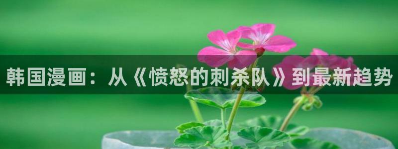 歪歪动漫免费：韩国漫画：从《愤怒的刺杀队》到最新趋势