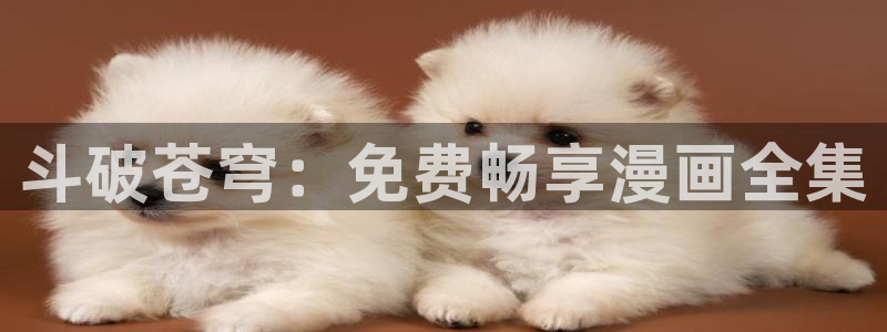 神之塔动漫免费观看歪歪：斗破苍穹：免费畅享漫画全集