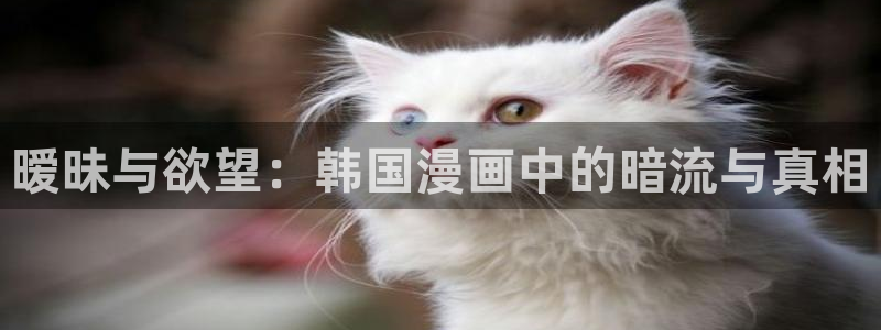 歪歪漫画正版下载官方网站：暧昧与欲望：韩国漫画中的暗流与真相